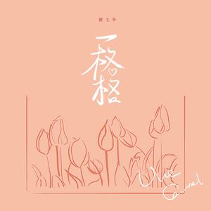 国产欧美日韩在线观看无需安装
